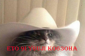 Напечатаю что угодно