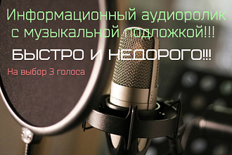 Изготовим Информационный Аудиоролик