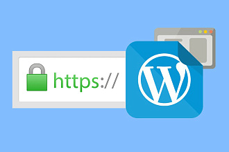 Грамотный переход и настройка https для WordPress под ключ