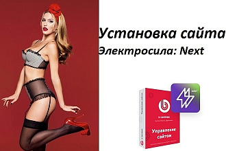 Установка сайта Электросила Next