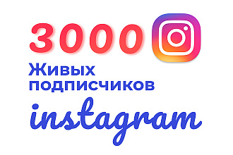 3000 Живых подписчиков на ваш профиль в Instagram