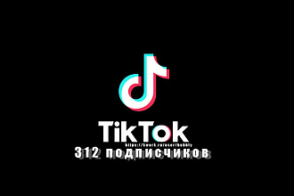 312 подписчиков на Тик-Ток