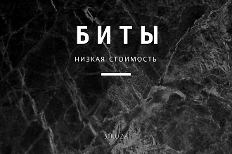 Биты