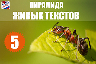 Уникальные статьи в 5 блогах с перелинковкой