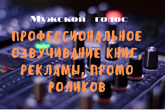 Профессиональное озвучивание книг, мужской голос