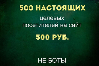 Настоящие целевые посетители сайта. 500 переходов - 500 руб