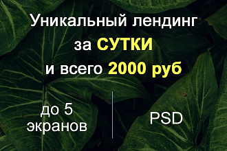 Современный Лендинг за сутки и всего за 2000 руб