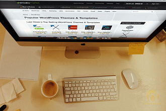 Разработка сайта на премиум шаблоне Wordpress