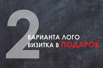 2 варианта лого+визитка в подарок