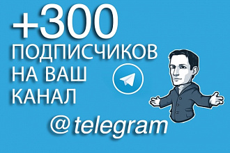 300 подписчиков telegram