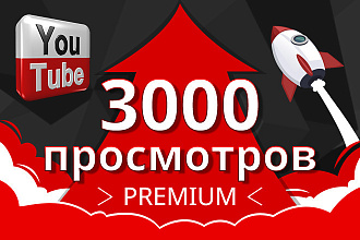 3000 просмотров youtube