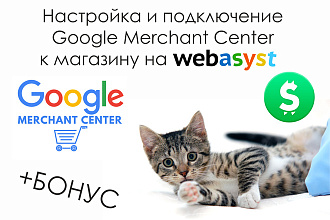 Подключение и настройка магазина на Webasyst к Google Merchant Center