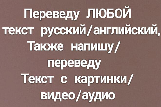 Пишу перевод русский,английский,любой текст с аудио,видио,изображения