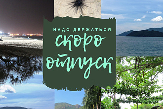 Премиум дизайн. Оригинальный дизайн плаката, афиши, меню