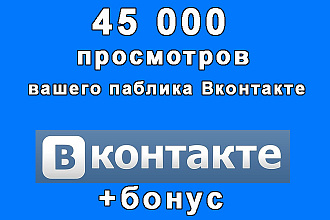 45 000 посещений сообщества Вконтакте для статистики+бонус