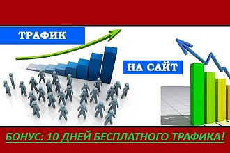 Трафик на сайт. 180-200 посетителей ежедневно на 2 месяца. БОНУС