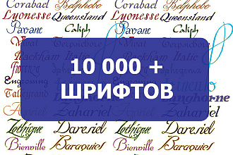 10400 шрифтов