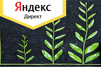 Настройка рекламной кампании Я. Директ