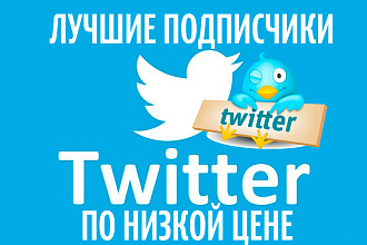 Подписчики в Ваш аккаунт Twitter