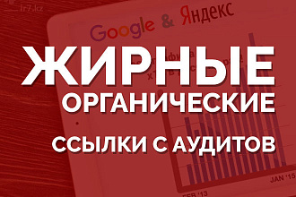 14 жирных органических ссылок с аудитов + бонус