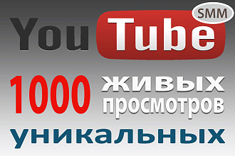 1000 живых, уникальных просмотров видео на Youtube
