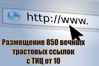 850 вечных трастовых ссылок на ваш сайт