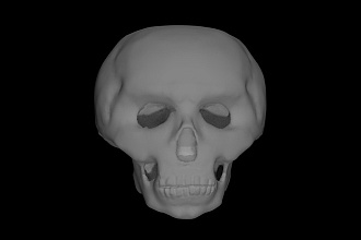 3D модель, скульпт лицо