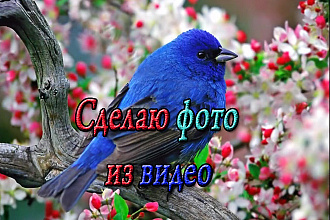 Сделаю фото из видео