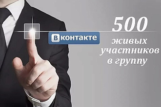 500 участников в вашу группу ВКонтакте + Бонус