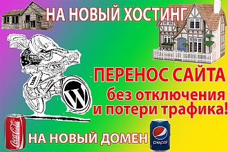 Перенос сайта WordPress без остановки работы и потери трафика