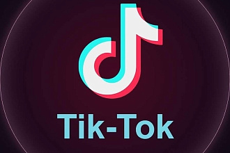 3200 живых подписчиков тикток
