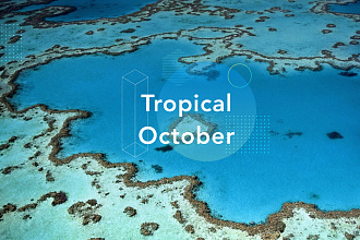Напишу трек в стиле Tropical, Techno, Funk, Hip-hop