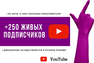 +250 живых подписчиков на ваш Youtube канал, 100 лайков бонусом
