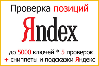 Проверка позиций сайта в Яндекс. 5000 ключей и 5 проверок за 10 дней