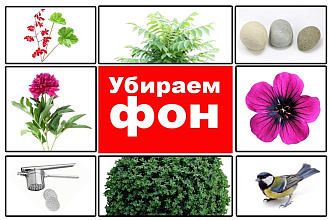Удалю фон на картинке. Заменю старый фон на белый