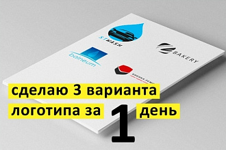 4 варианта логотипа за 24 часа с исходниками