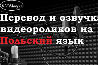 Перевод на польский язык от носителя. Перевод документов,видео,аудио