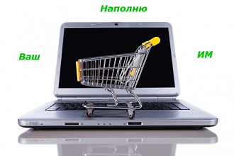 Наполнение интернет-магазина товарами