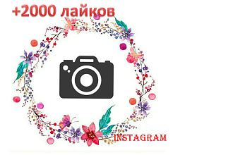 Добавлю 2000 подписчиков в Instagram. Только живые подписчики