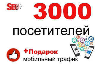 3000 посетителей на сайт, мобильный трафик в подарок