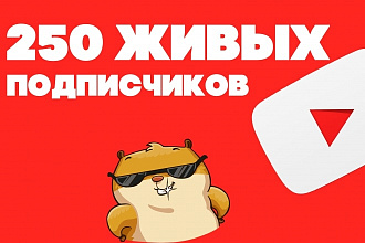 250 живых подписчиков