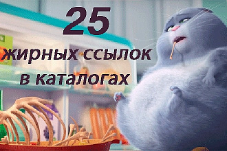 Ручная регистрация в 25 каталогах сайтов