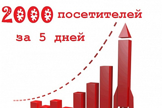 2000 уникальных посетителей на ваш сайт каждый день в течение 5 дней