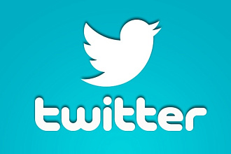 2000 подписчиков в Twitter. Высокое качество