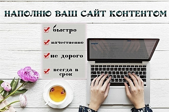 Наполню сайт контентом