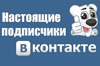 300 качественных подписчиков Вконтакте на вашу страницу или в группу