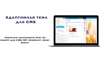 Верстка адаптивной темы для CMS