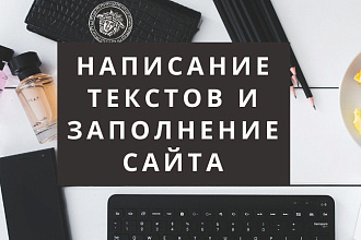 Напишу продающий текст для тильды или заполню Ваш сайт