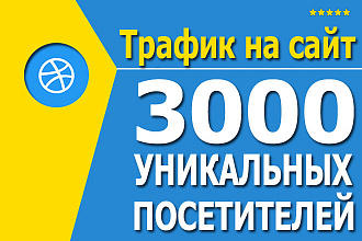 3000 уникальных переходов на ваш сайт