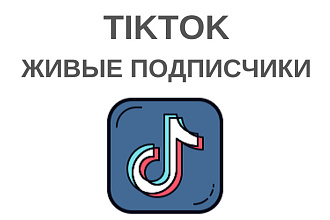 500 живых подписчиков в Тик Ток. Продвижение TikTok
